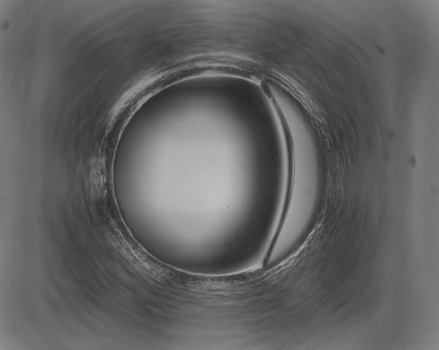 X0000083621164200702121133