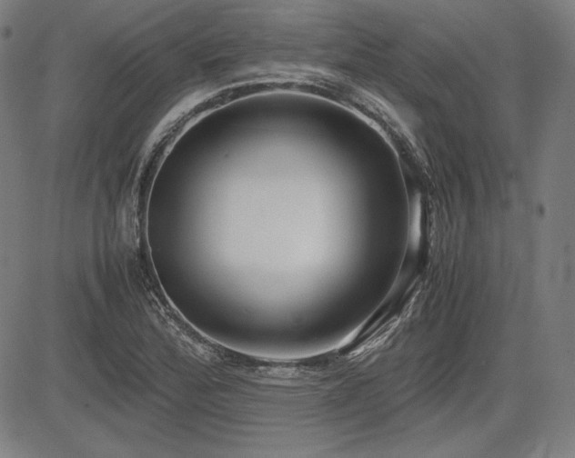 X0000083621172200702121133