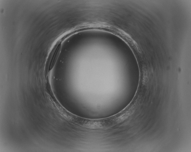 X0000083621174200702121133