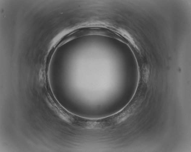 X0000083621176200702121133