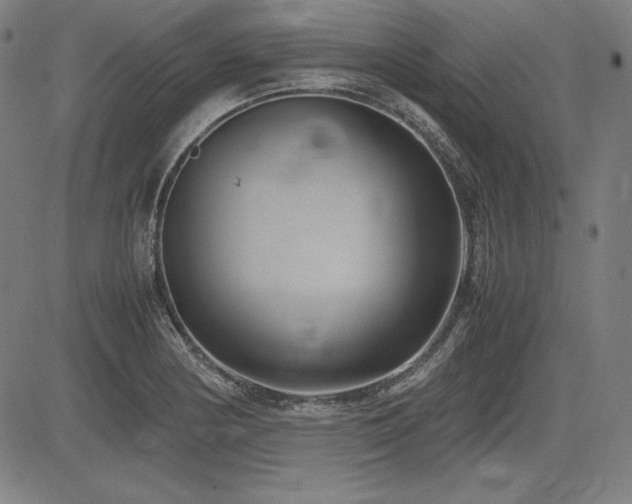 X0000083621178200702121133
