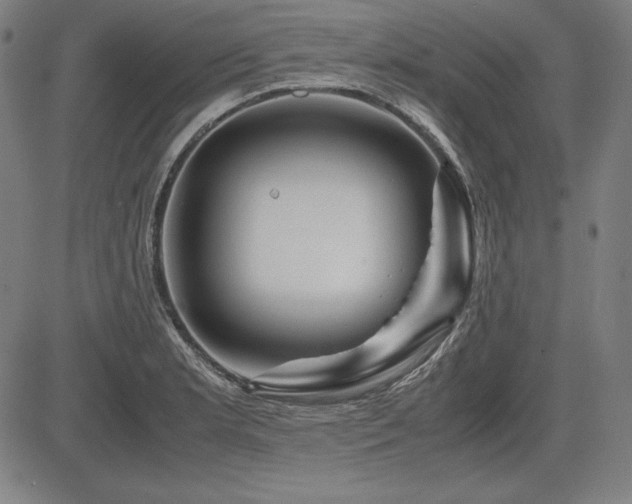 X0000083621181200702121133