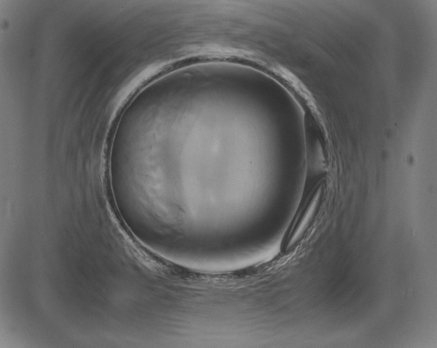 X0000083621183200702121133