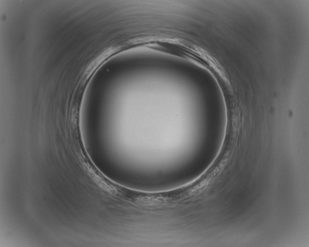 X0000083621185200702121133