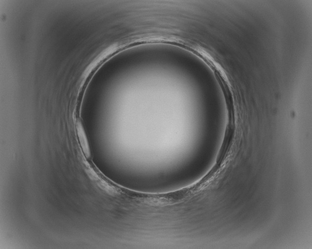 X0000083621189200702121133