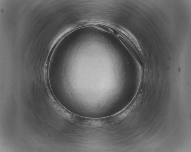 X0000083621190200702121133