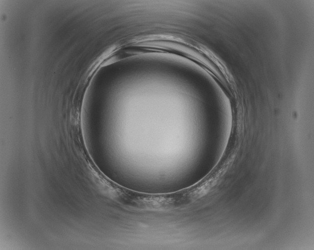 X0000083621193200702121133