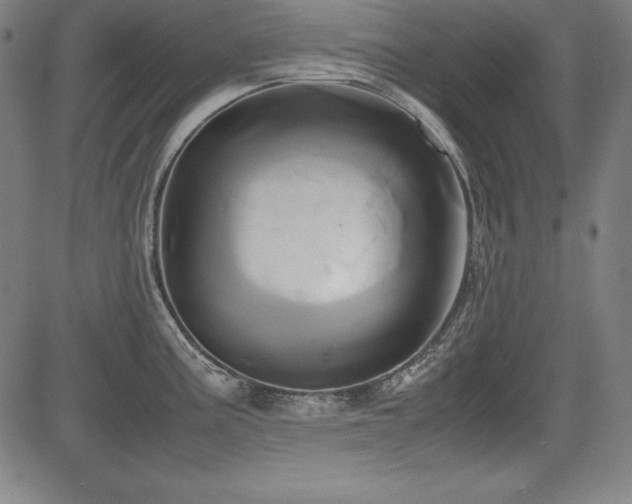 X0000083621195200702121132