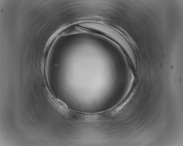 X0000083621196200702121132