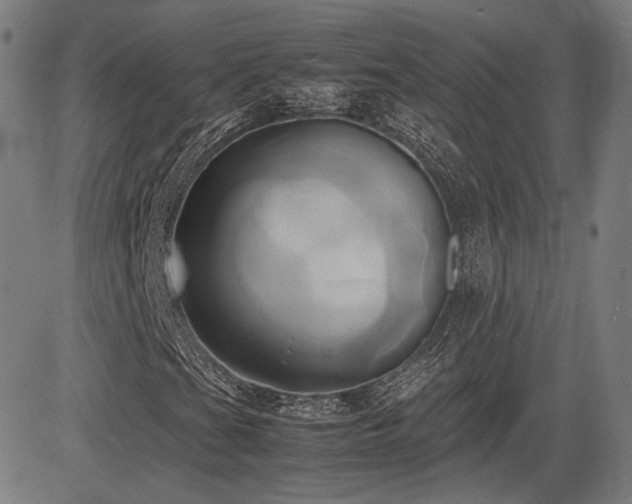X0000083621201200702121131