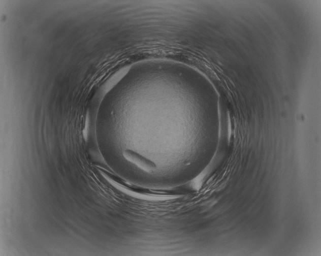 X0000083621202200702121131
