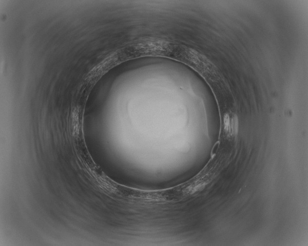 X0000083621203200702121132