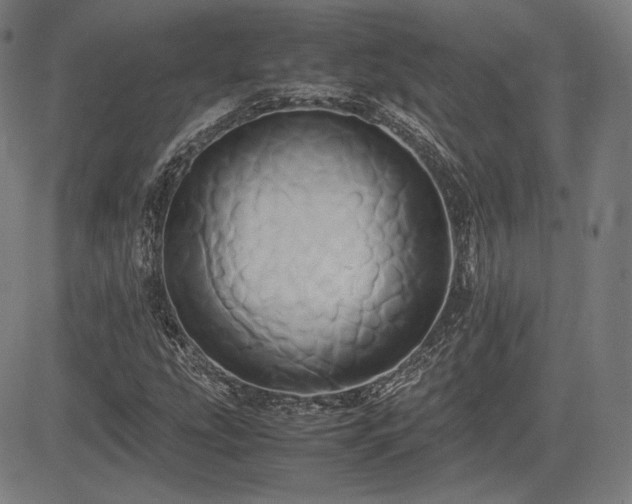 X0000083621207200702121132