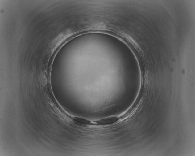 X0000083621212200702121132