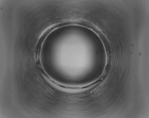 X0000083621214200702121132