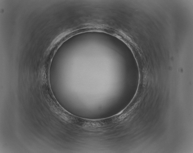 X0000083621215200702121132