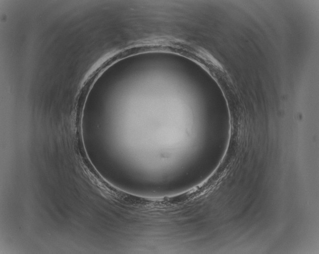 X0000083621216200702121132