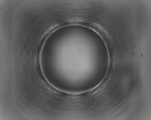 X0000083621217200702121132