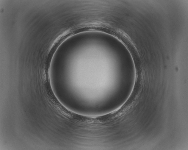 X0000083621218200702121132