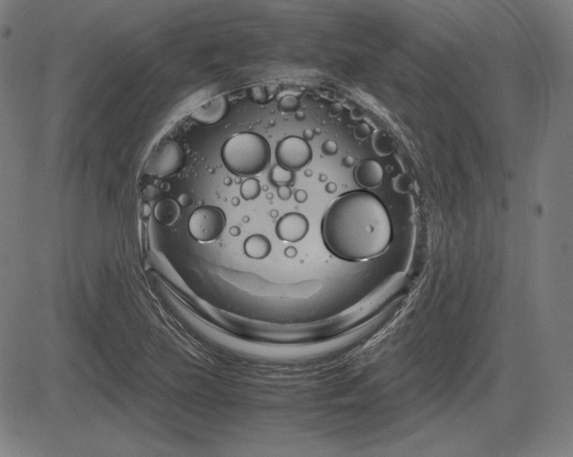 X0000083621219200702121132