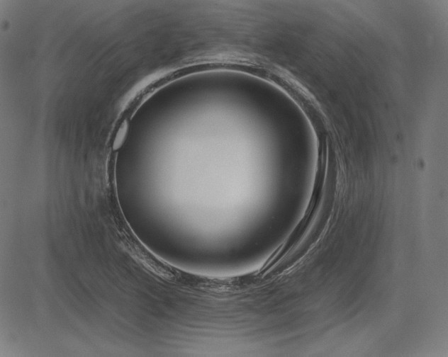 X0000083621222200702121132