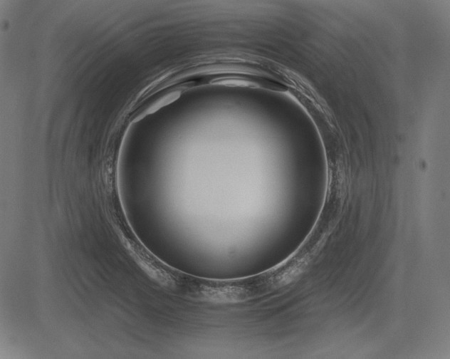 X0000083621225200702121132