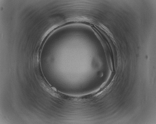 X0000083621226200702121132