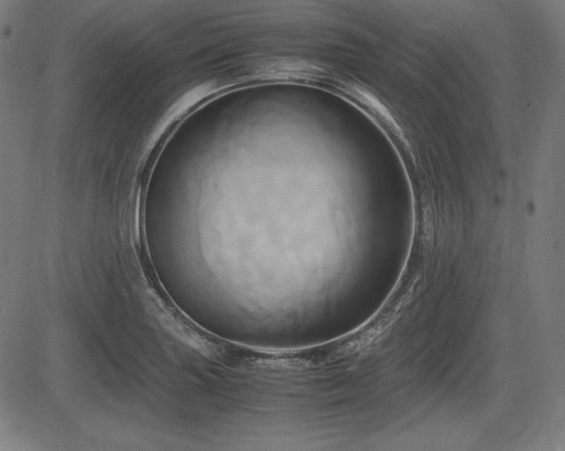X0000083621227200702121132