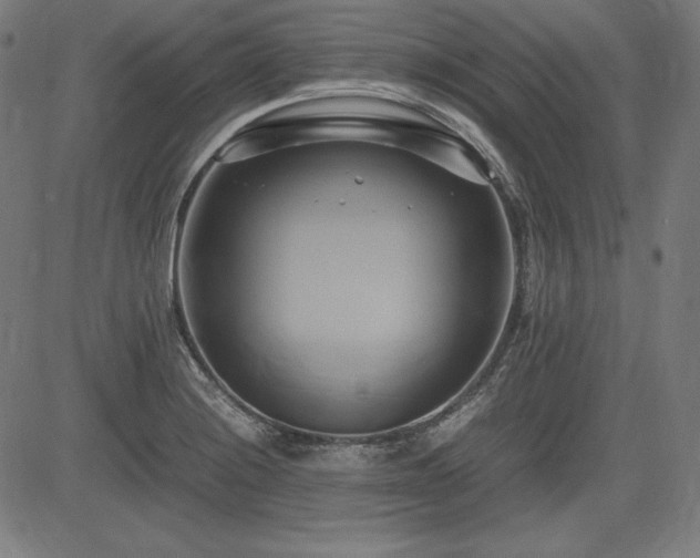 X0000083621228200702121132