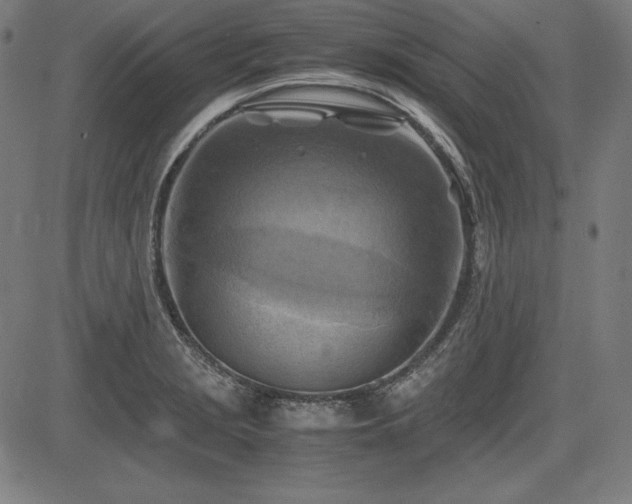 X0000083621229200702121132