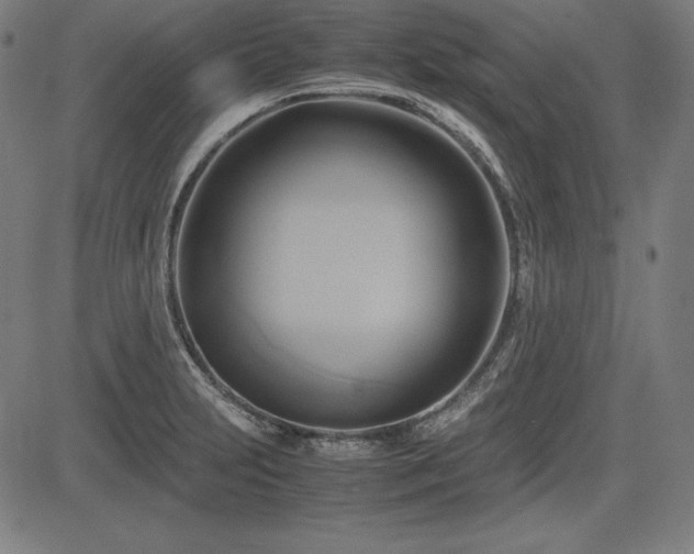 X0000083621231200702121132
