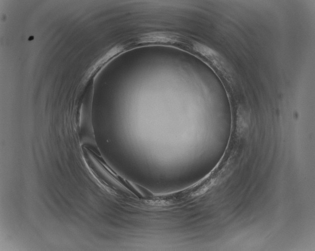 X0000083621233200702121132