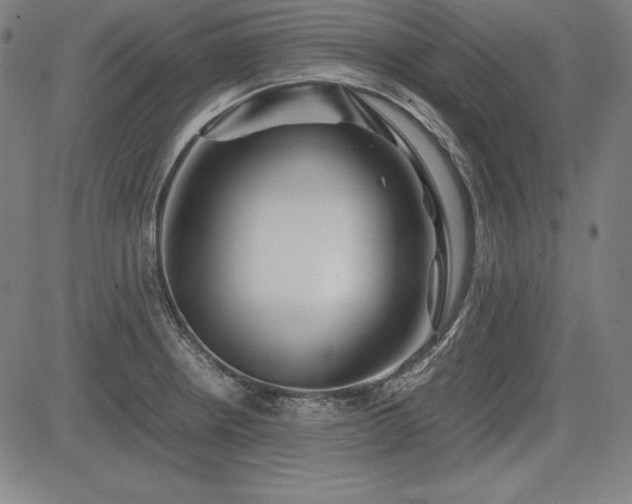 X0000083621234200702121132