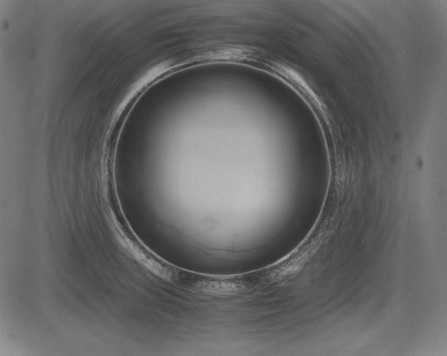 X0000083621235200702121132