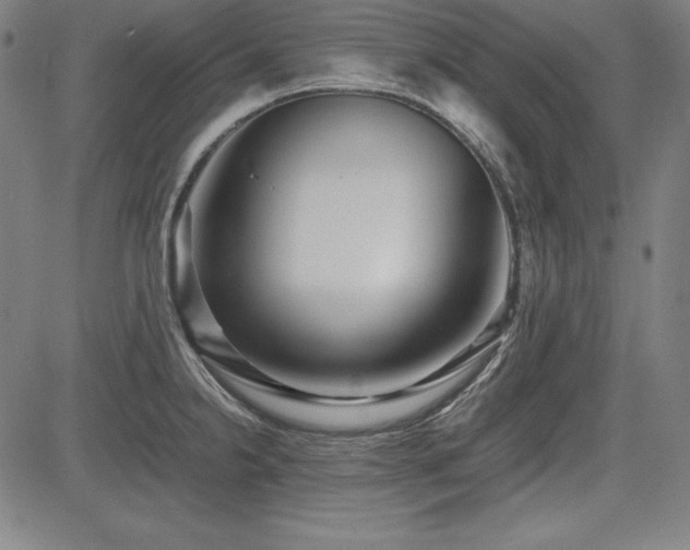 X0000083621238200702121132