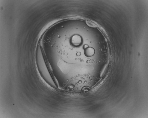 X0000083621239200702121132