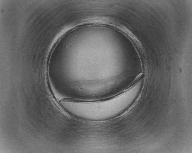 X0000083621240200702121132