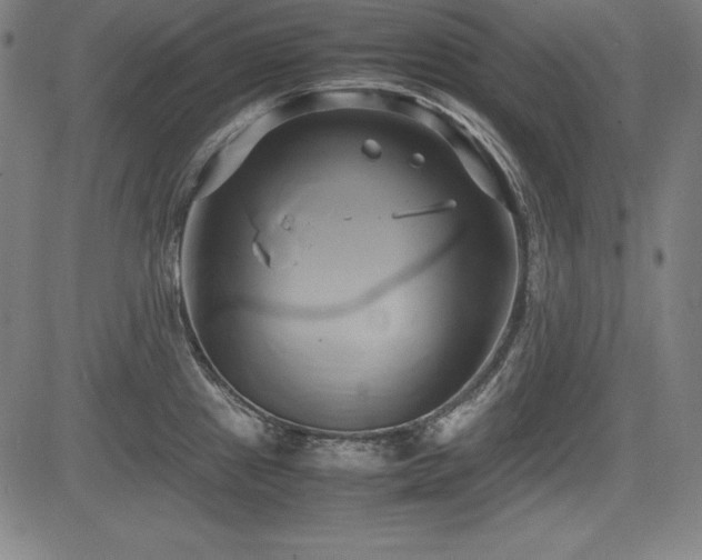 X0000083621241200702121132