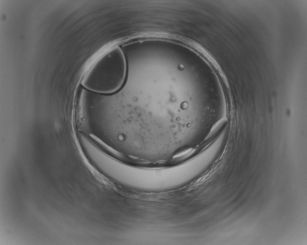 X0000083621245200702121132