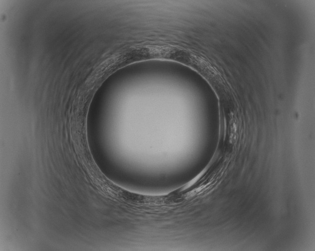 X0000083621249200702121131