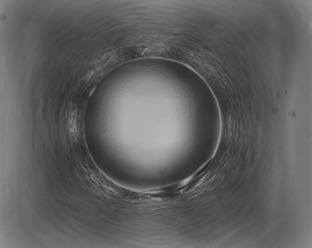 X0000083621250200702121131