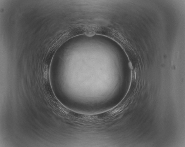 X0000083621251200702121131