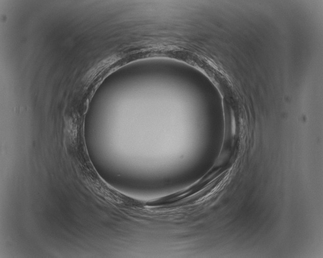 X0000083621257200702121131