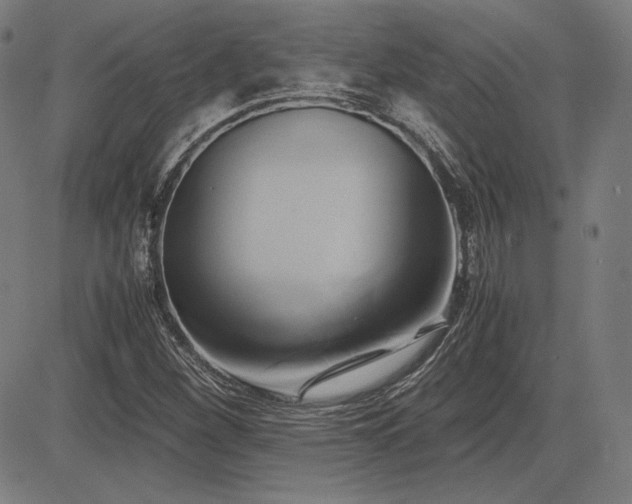 X0000083621260200702121131