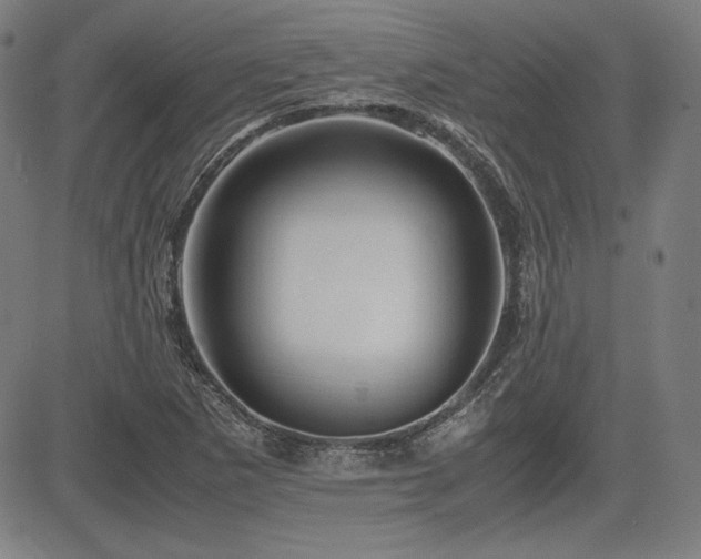 X0000083621265200702121131