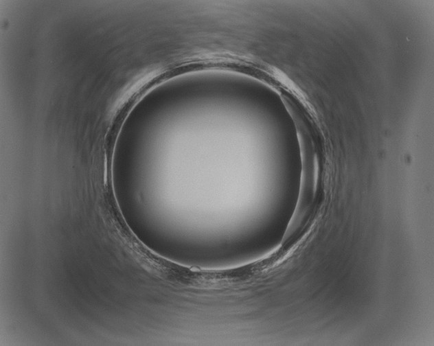 X0000083621269200702121131