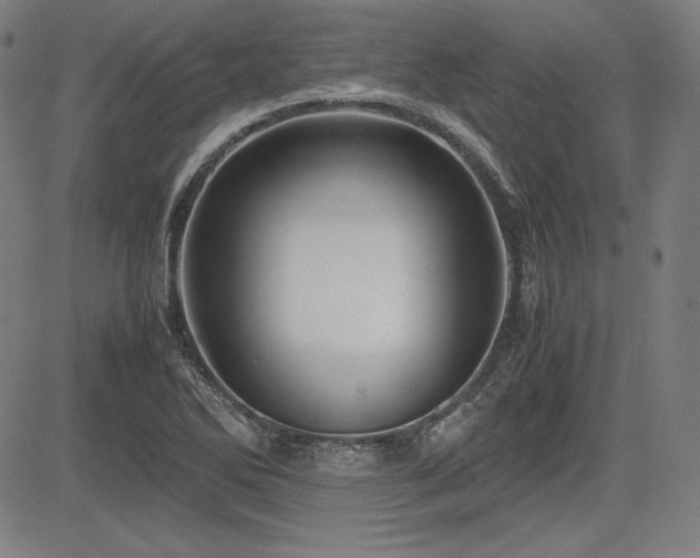 X0000083621270200702121131