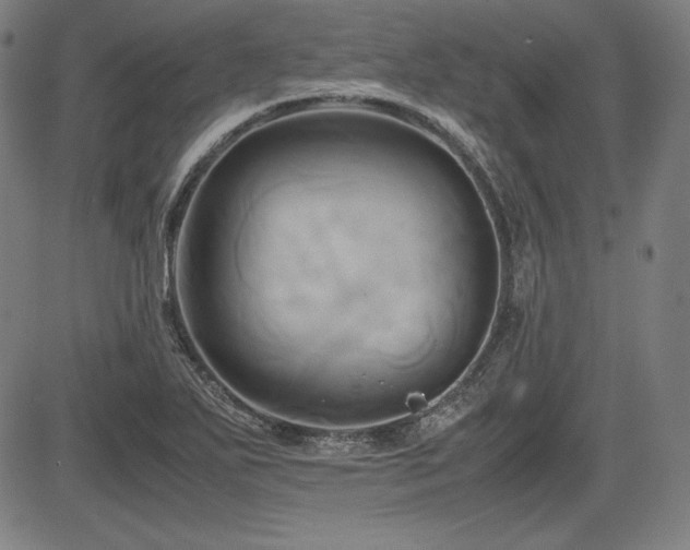 X0000083621271200702121131