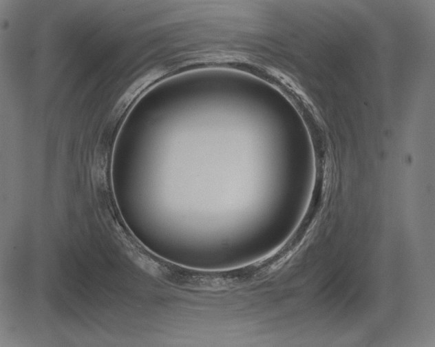 X0000083621273200702121131