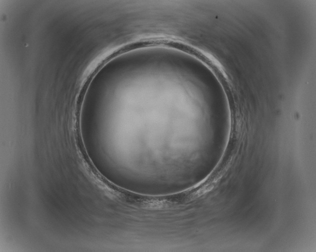 X0000083621279200702121131